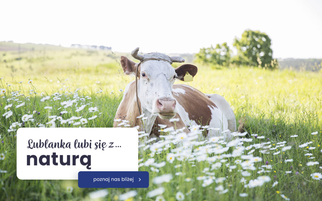 Wracamy z nową stroną – i nowym rozdziałem Lublanki!