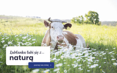 Wracamy z nową stroną – i nowym rozdziałem Lublanki!